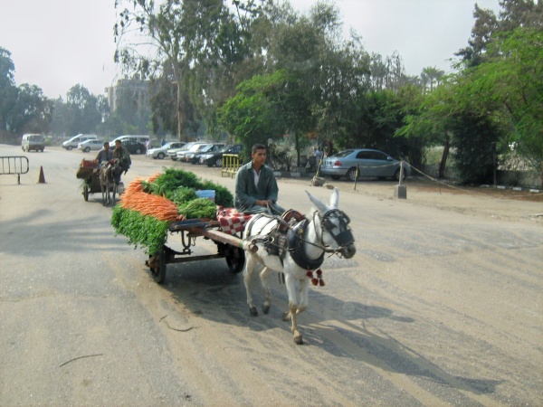 Photo 03